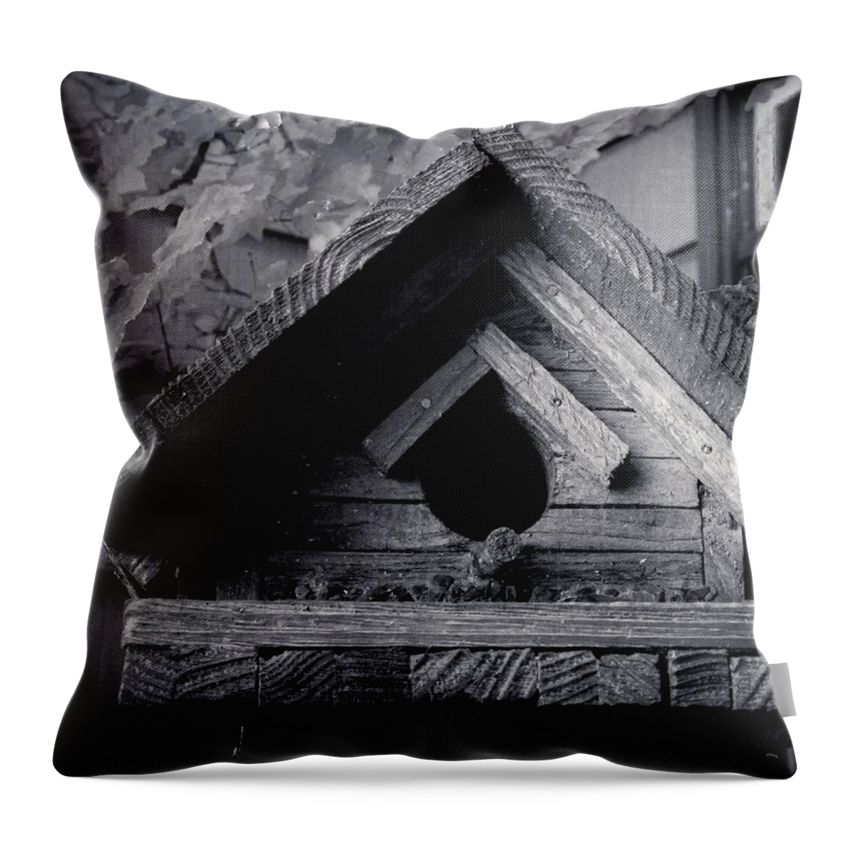 Bird House Throw Pillow featuring the photograph Bird House by Anamar Pictures