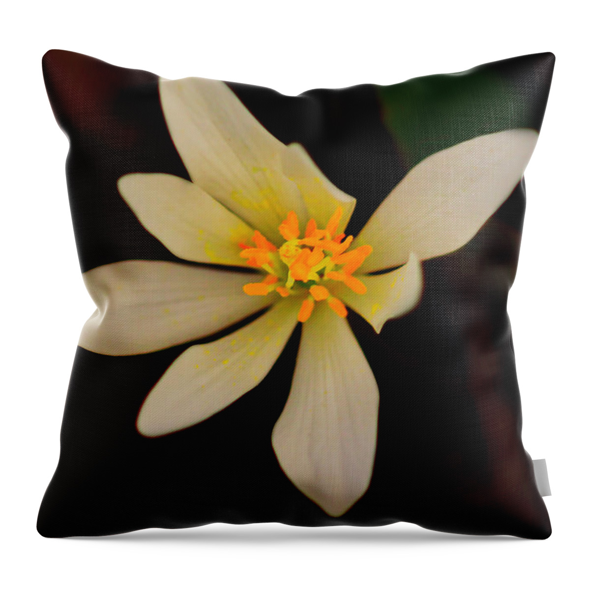 Macro Photography Throw Pillow featuring the photograph Bloodroot by Meta Gatschenberger