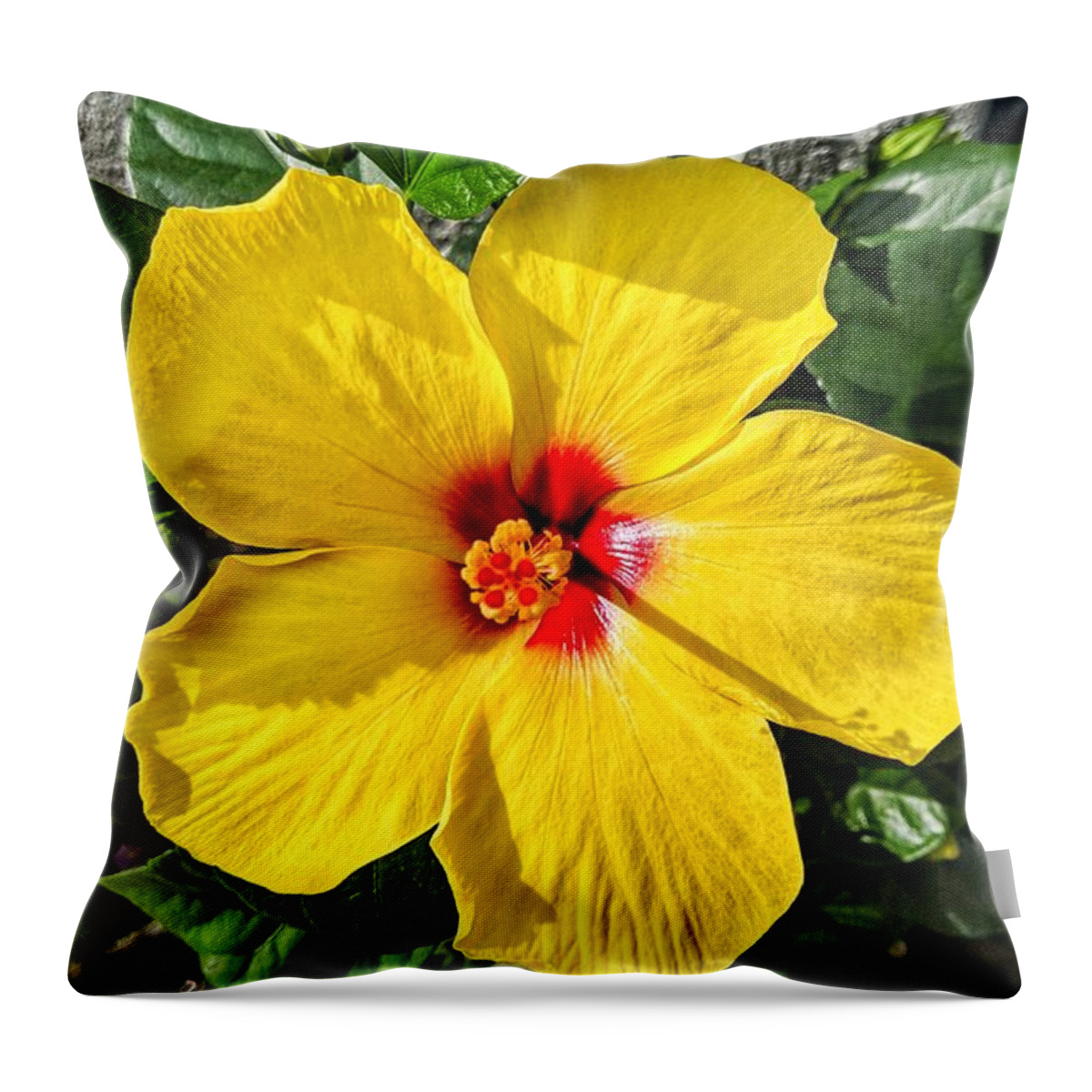 Flower Throw Pillow featuring the photograph Bloom and Shine by Portia Olaughlin
