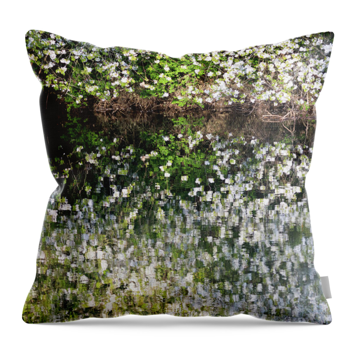  Throw Pillow featuring the photograph Blossom reflections in a river in Spring by Anita Nicholson