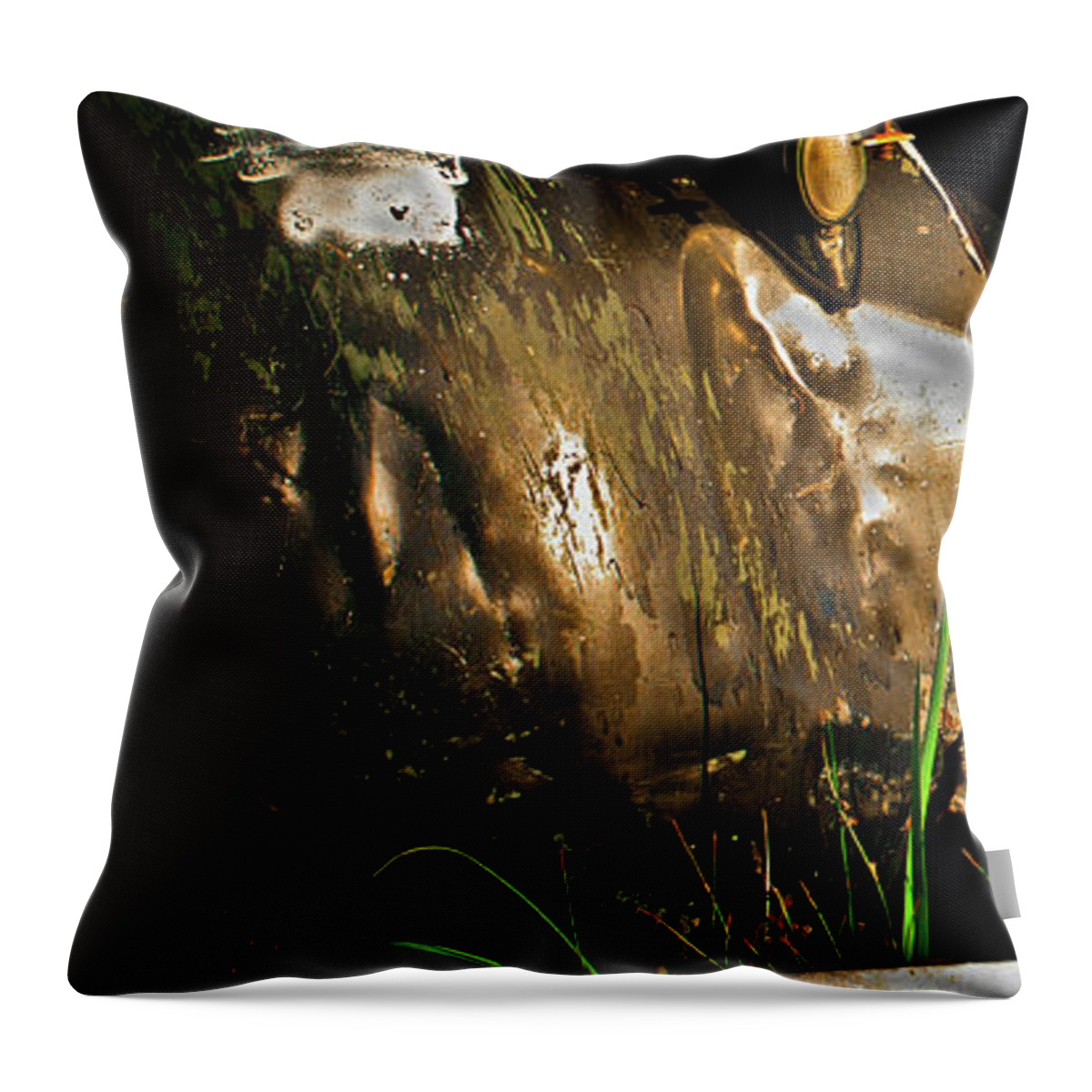 Rusty Truck Throw Pillow featuring the photograph Bodie 14 by Catherine Sobredo