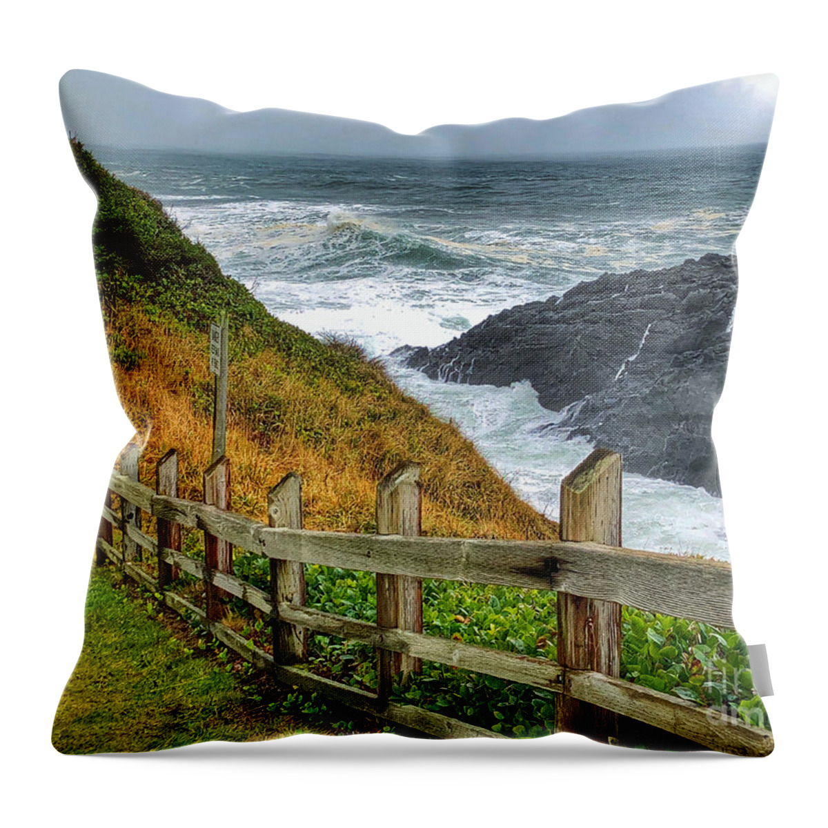 Photography Throw Pillow featuring the painting Boiler Bay by Jeanette French