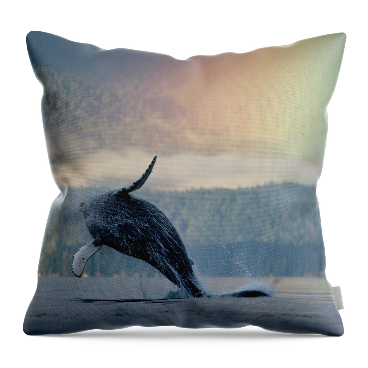 Animal Themes Throw Pillow featuring the photograph Breaching Humpback Whale And Rainbow by Paul Souders