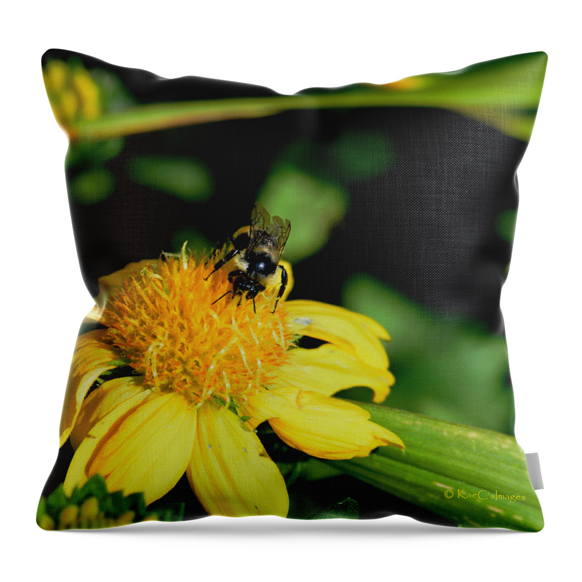 Bee Throw Pillow featuring the photograph Bumblebee at Work by Kae Cheatham