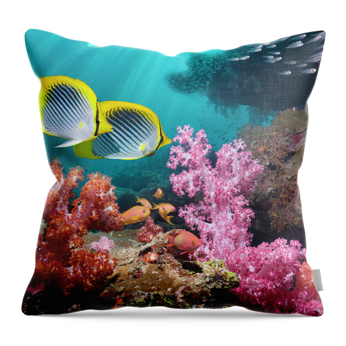 Tranquility Throw Pillow featuring the photograph Butterflyfish With Soft Corals by Georgette Douwma