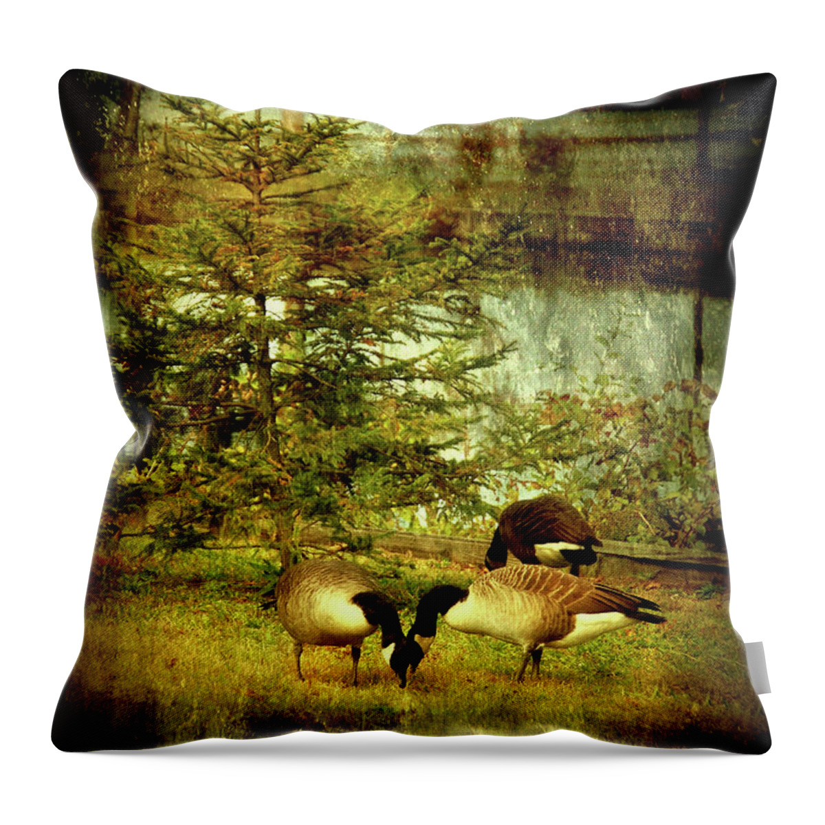 Autumn Throw Pillow featuring the photograph By The Little Tree - Lake Carasaljo by Angie Tirado