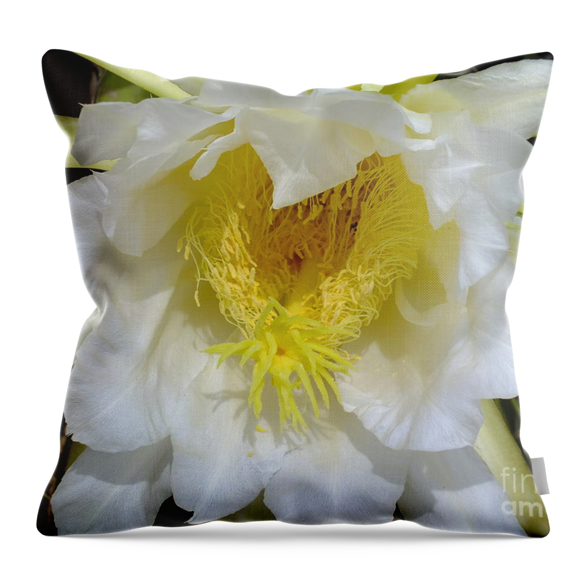 Cactus Throw Pillow featuring the digital art Cactus smile by Yenni Harrison