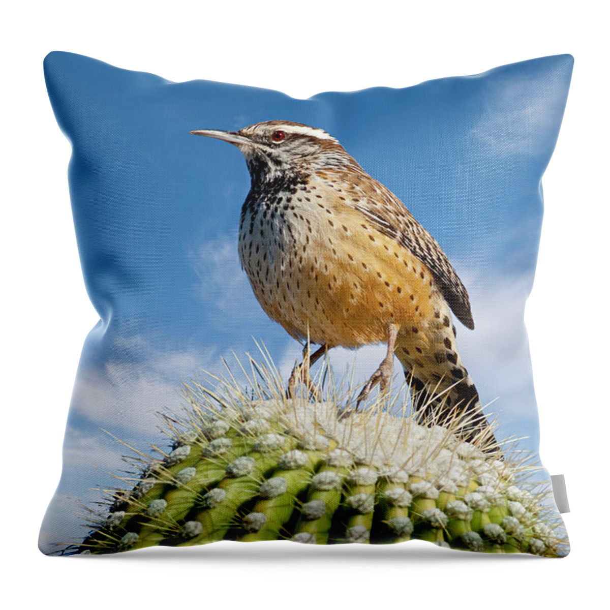 Adult Throw Pillow featuring the photograph Cactus Wren on a Saguaro Cactus by Jeff Goulden