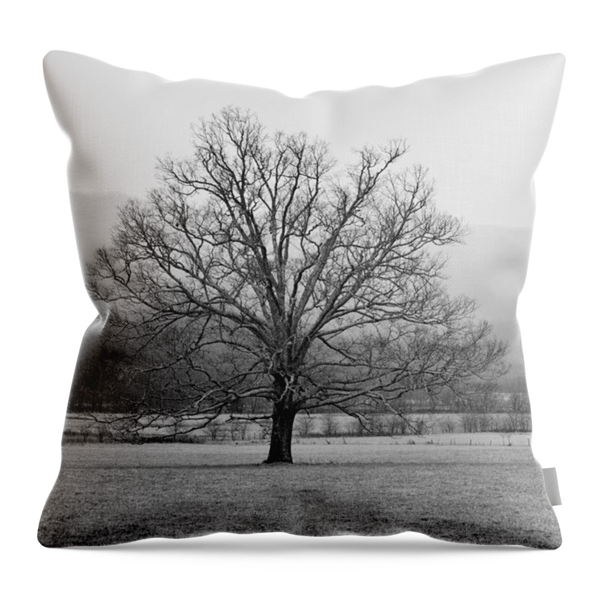 Nunweiler Throw Pillow featuring the photograph Cades Cove 1 by Nunweiler Photography