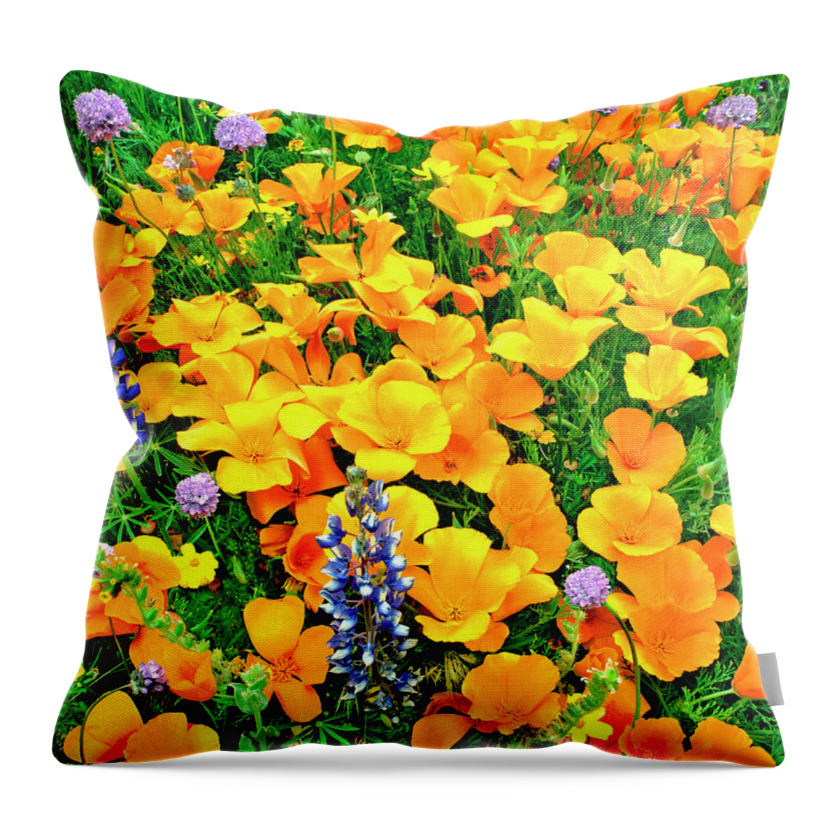 North America Throw Pillow featuring the photograph California Poppies and Betham Lupines Southern California by Dave Welling