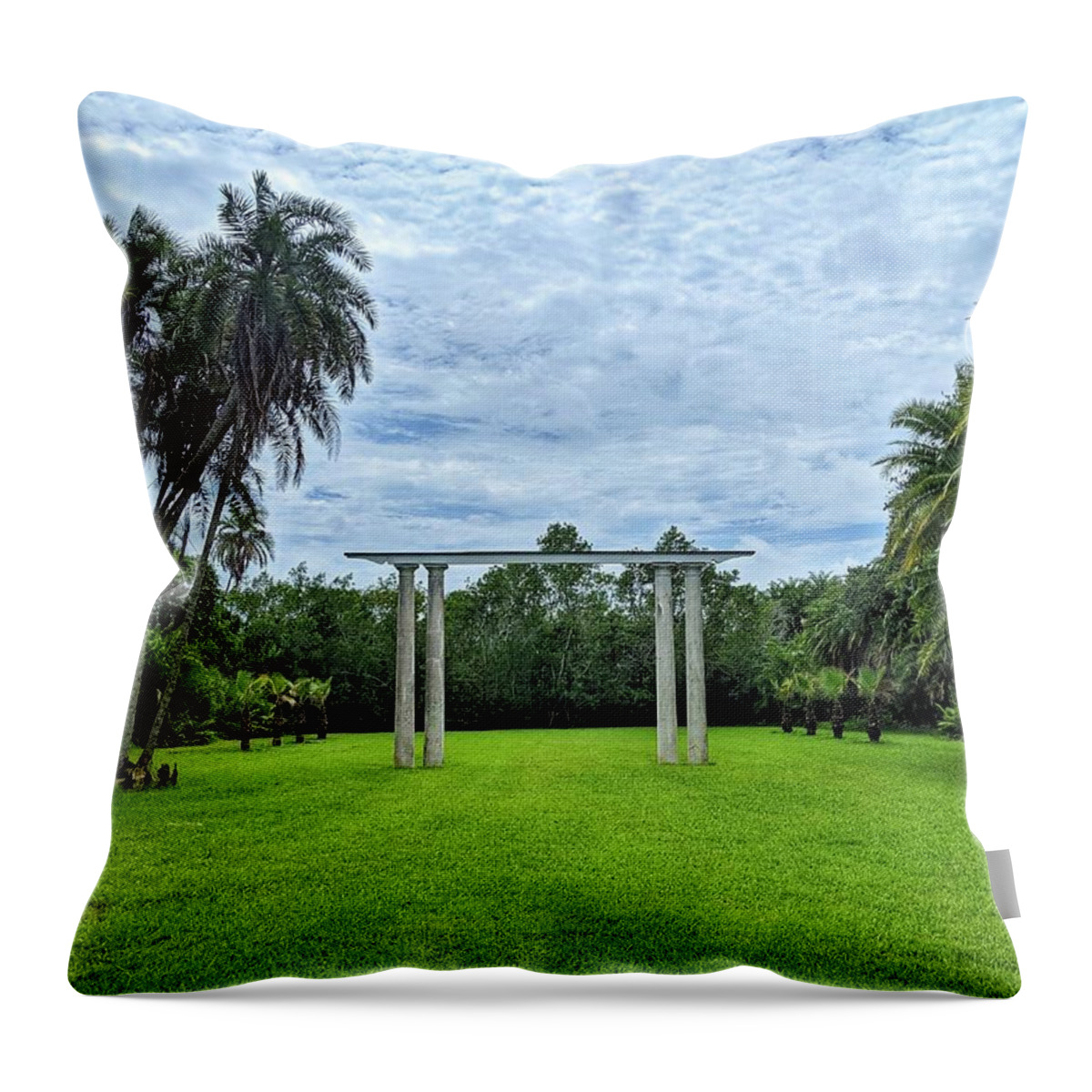 Tropical Throw Pillow featuring the photograph Can You See Your Future? by Portia Olaughlin