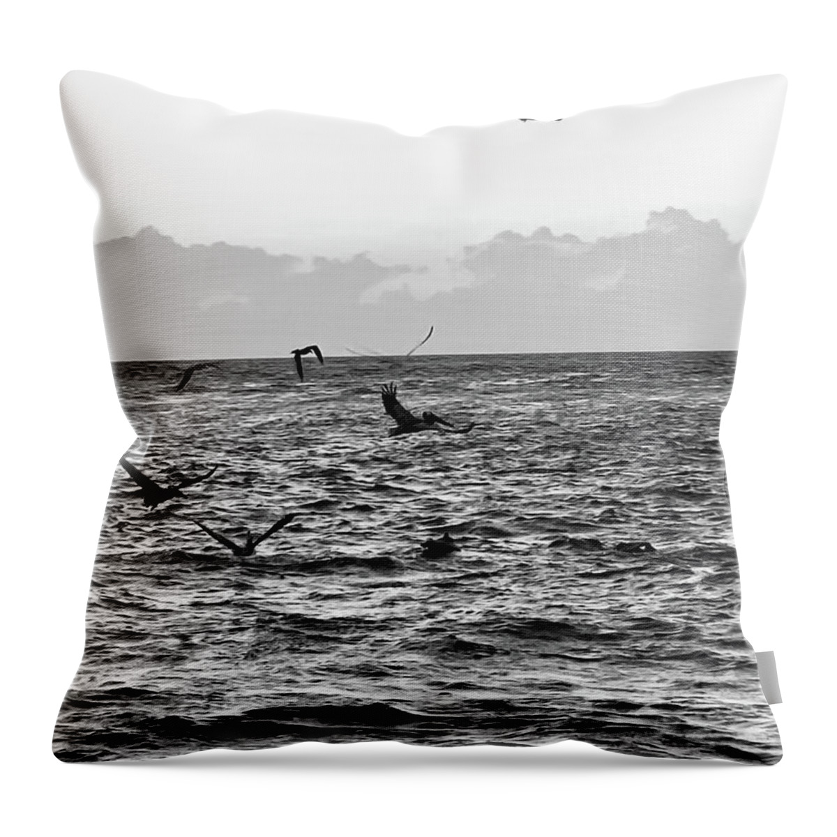 Birds Throw Pillow featuring the photograph Captiva Island Sunset Seabirds Feasting Noir Black and White by Shelly Tschupp