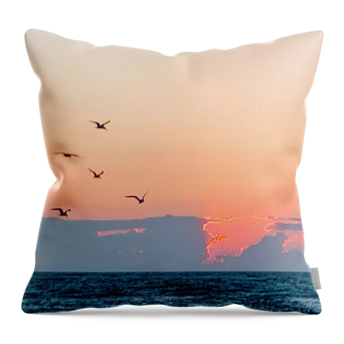 Birds Throw Pillow featuring the photograph Captiva Island Seabirds Looking for Fish by Shelly Tschupp