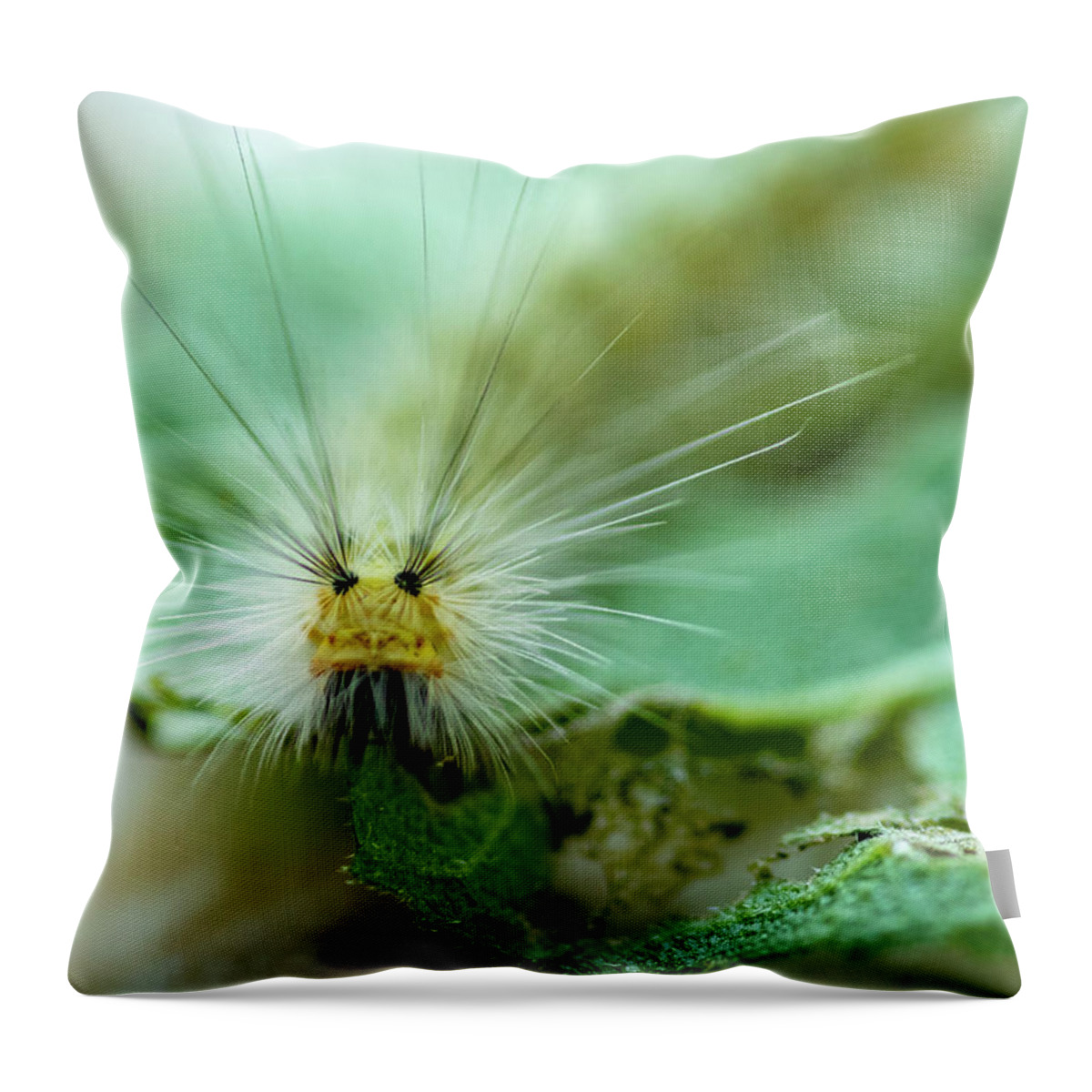 Macro Throw Pillow featuring the photograph Caterpillar Macro by Cathy Kovarik