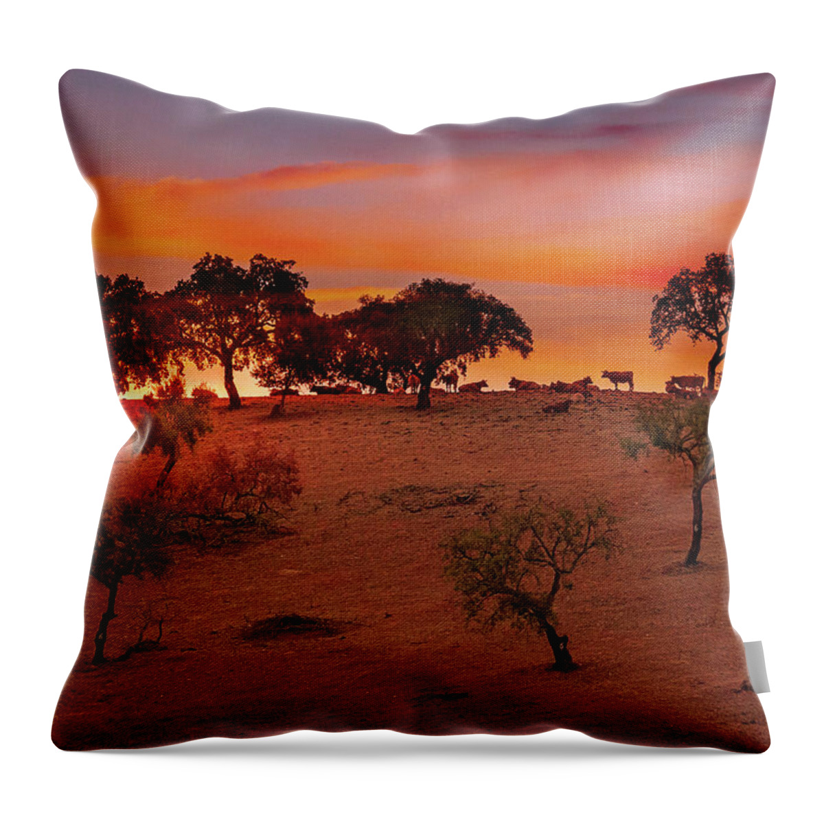 Cattle Throw Pillow featuring the photograph Cattle at dusk by Micah Offman
