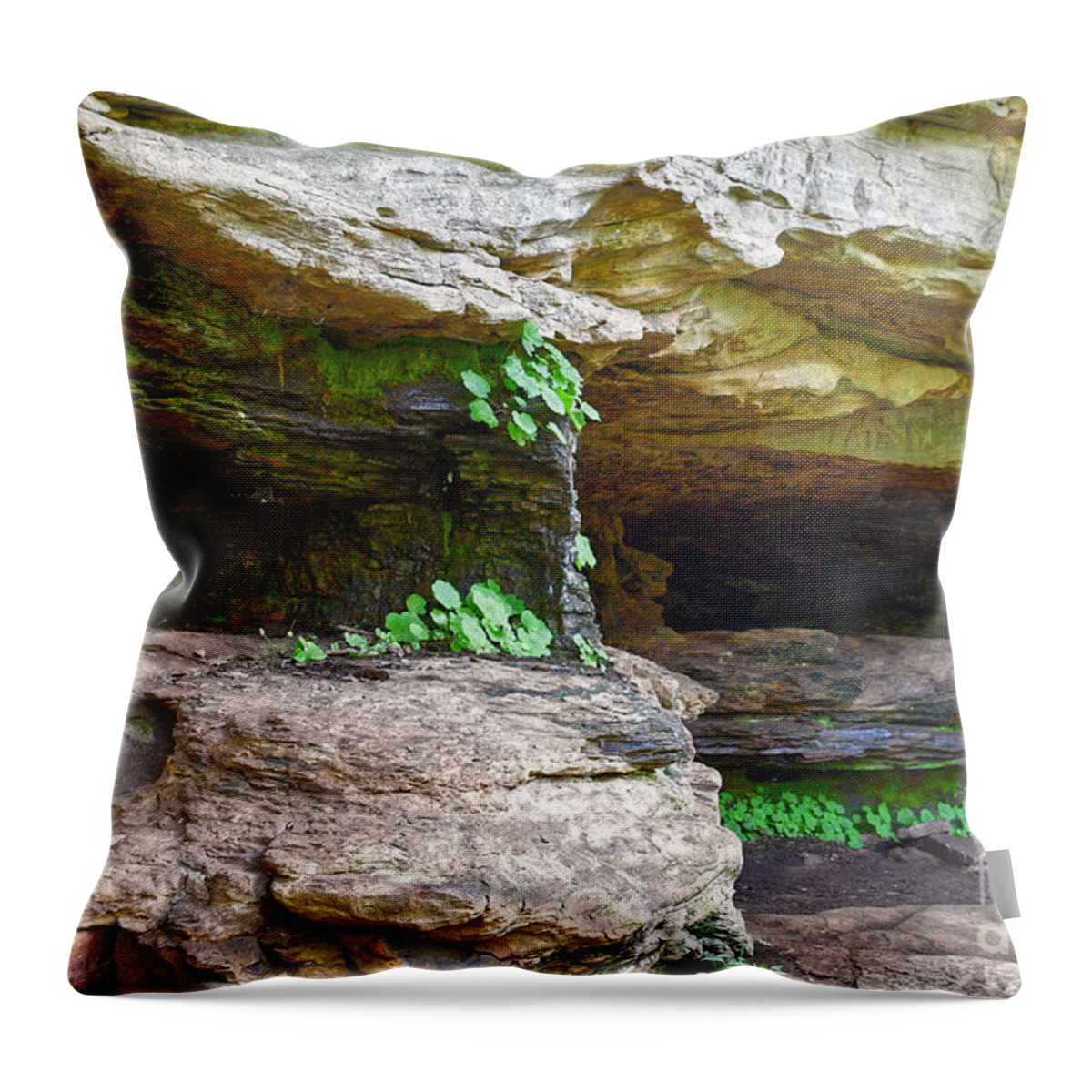 Tennessee Throw Pillow featuring the photograph Caves In A Cliff by Phil Perkins