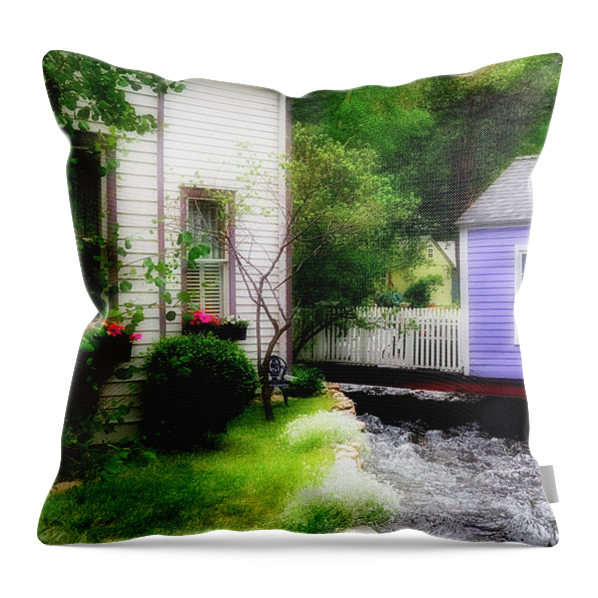 Fine Art Photography Throw Pillow featuring the photograph Charm by John Strong