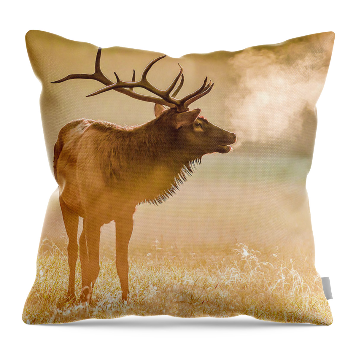 Elk Throw Pillow featuring the photograph Frosty Bugle Breath by Marcy Wielfaert