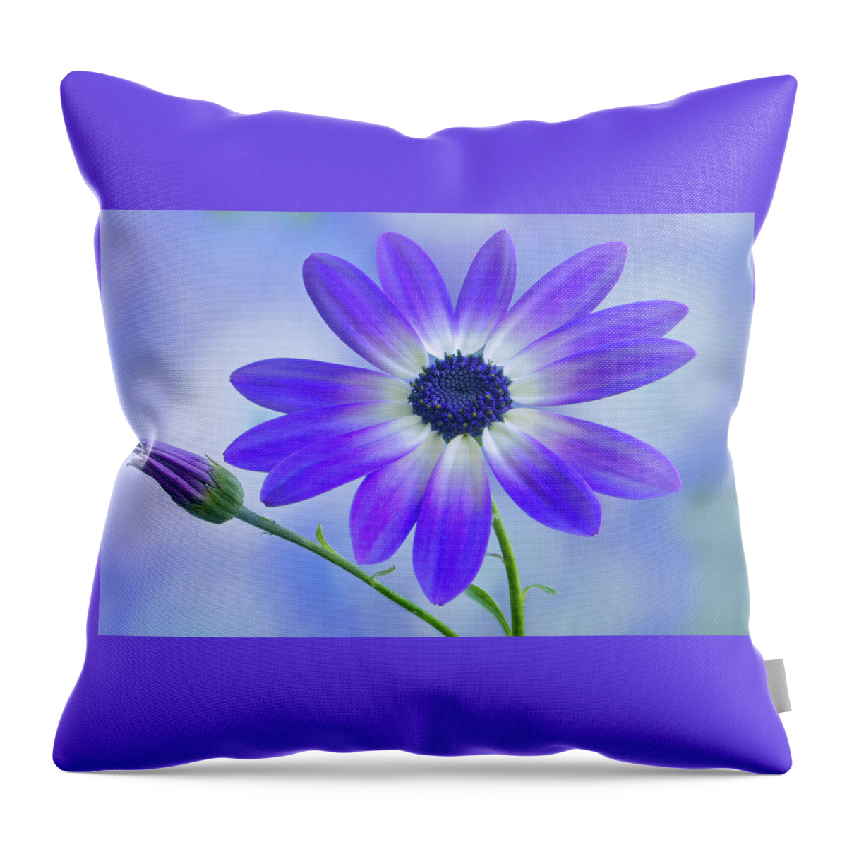 Senetti Throw Pillow featuring the photograph Classic Senetti by Terence Davis