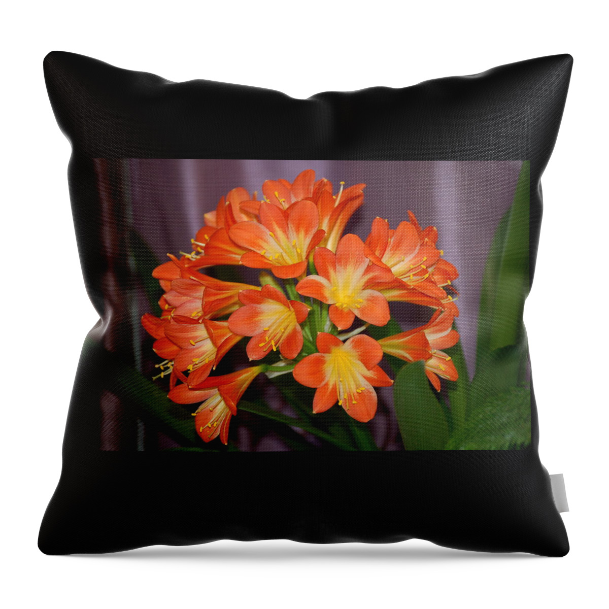 Flowers Throw Pillow featuring the photograph Clivia Blossoms by Nancy Ayanna Wyatt