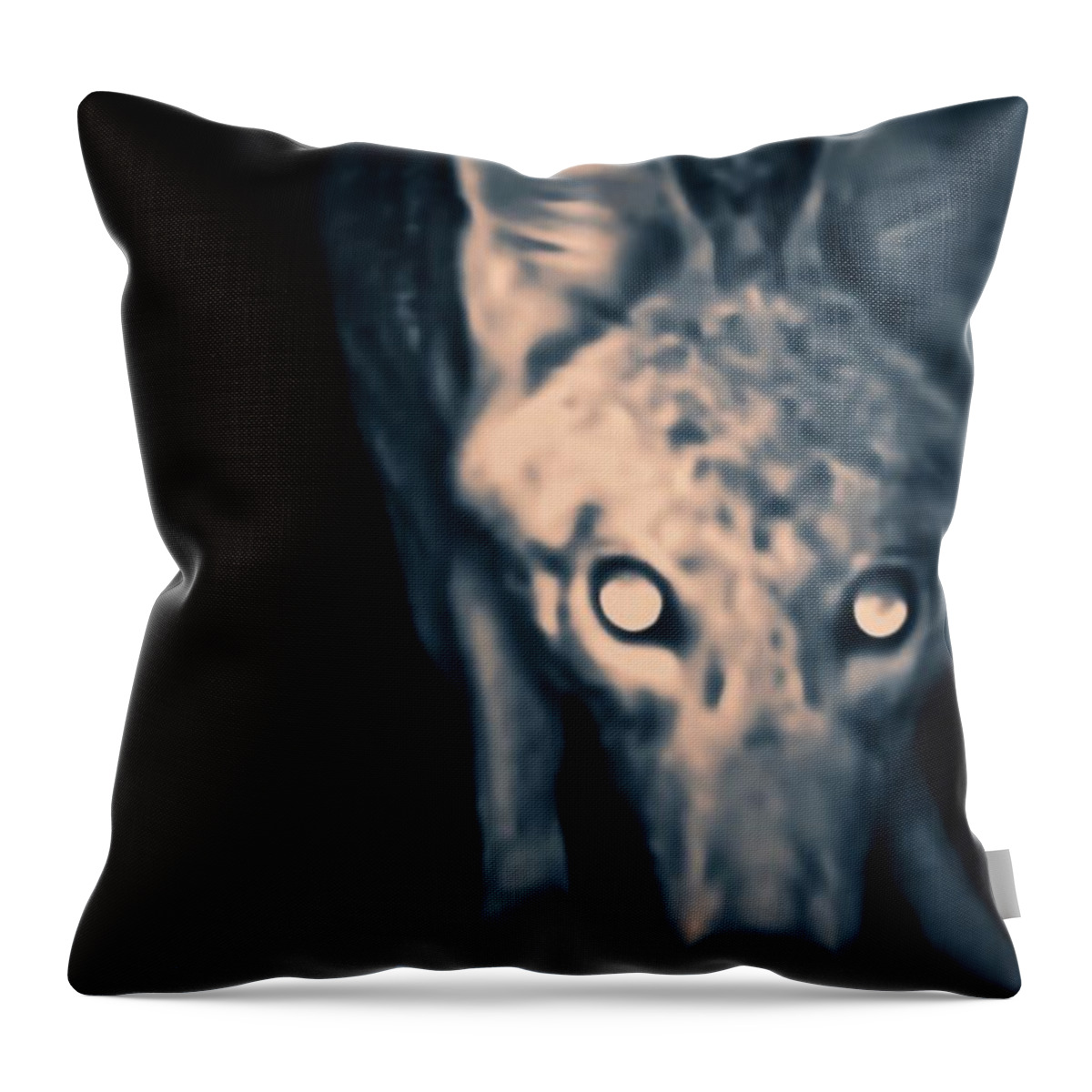 Animal Trail Throw Pillow featuring the photograph Close Enough? by Judy Kennedy