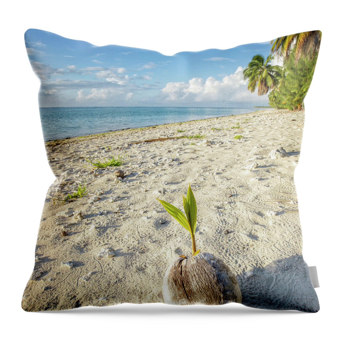 Coconut Throw Pillow featuring the photograph Coconut Sprout by Becqi Sherman