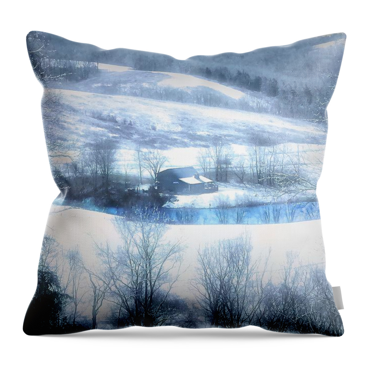  Throw Pillow featuring the photograph Cold Valley by Jack Wilson