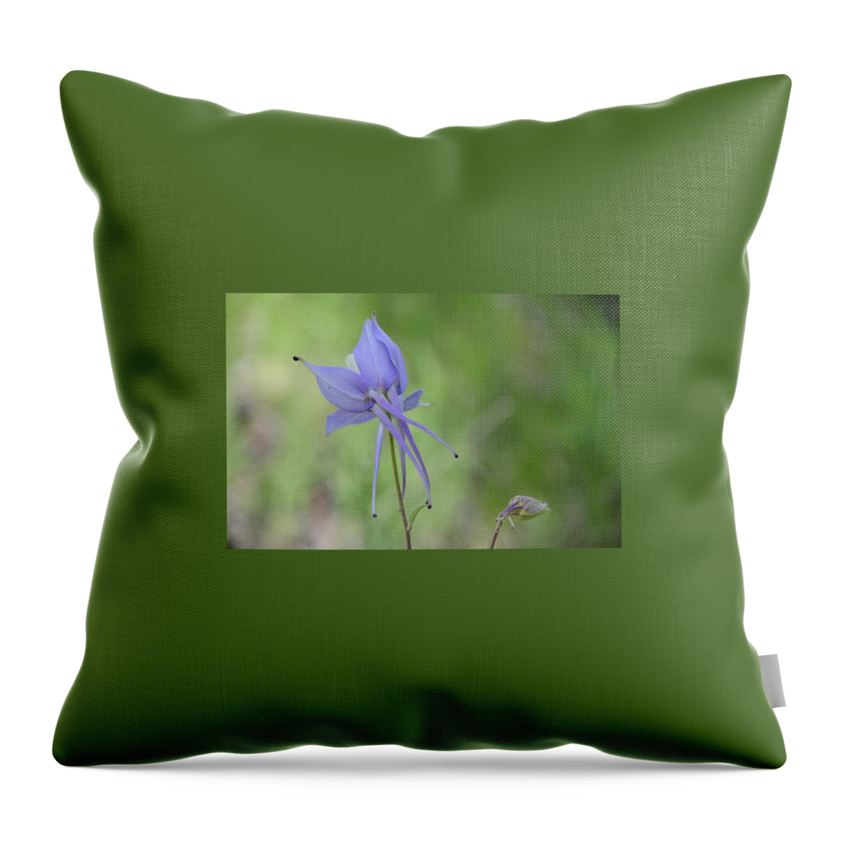  Throw Pillow featuring the photograph Columbine details by Susie Rieple