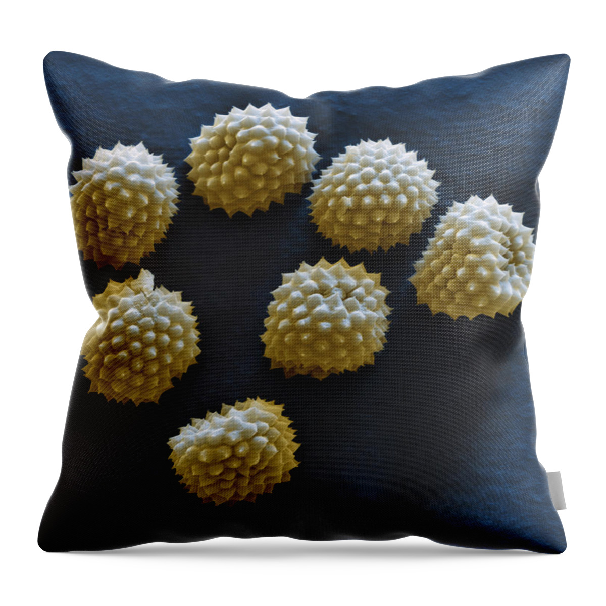 Allergen Throw Pillow featuring the photograph Common Ragweed by Meckes/ottawa
