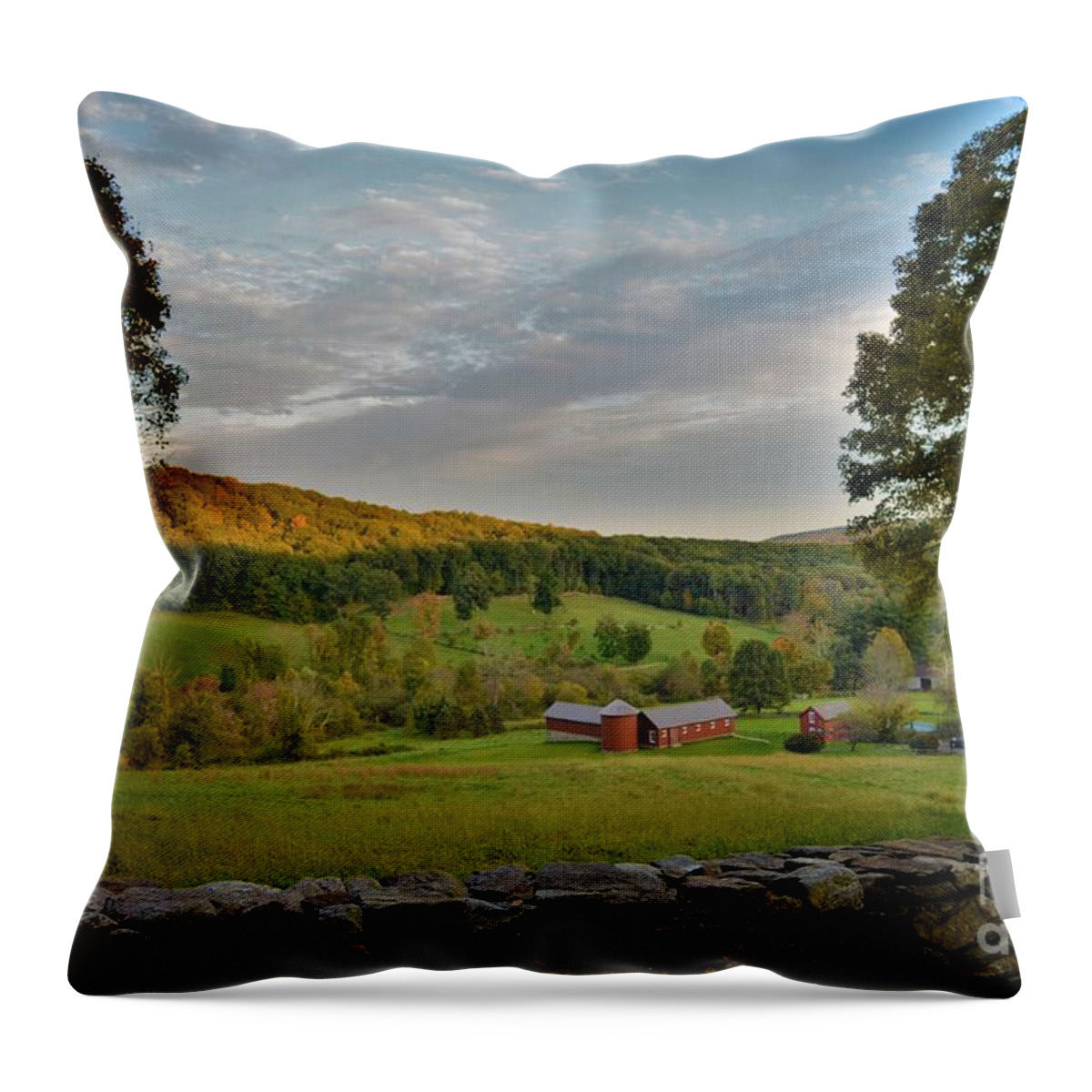 Landscape Throw Pillow featuring the photograph Connecticut Farm Meadows by Dani McEvoy