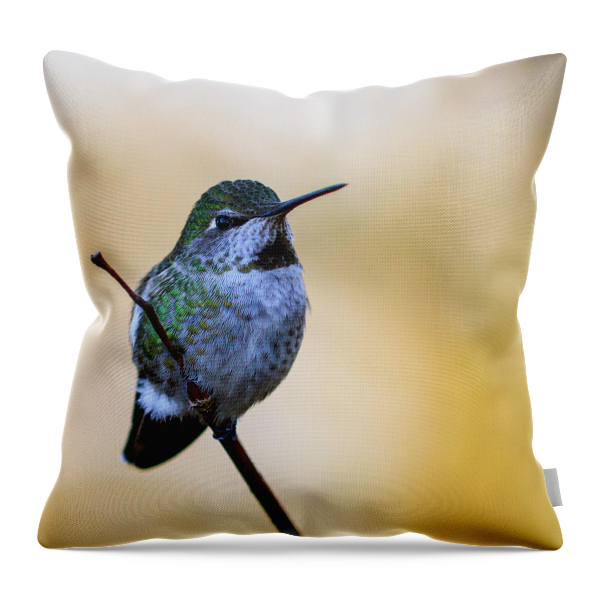 Animal Throw Pillow featuring the photograph Contemplation by Briand Sanderson
