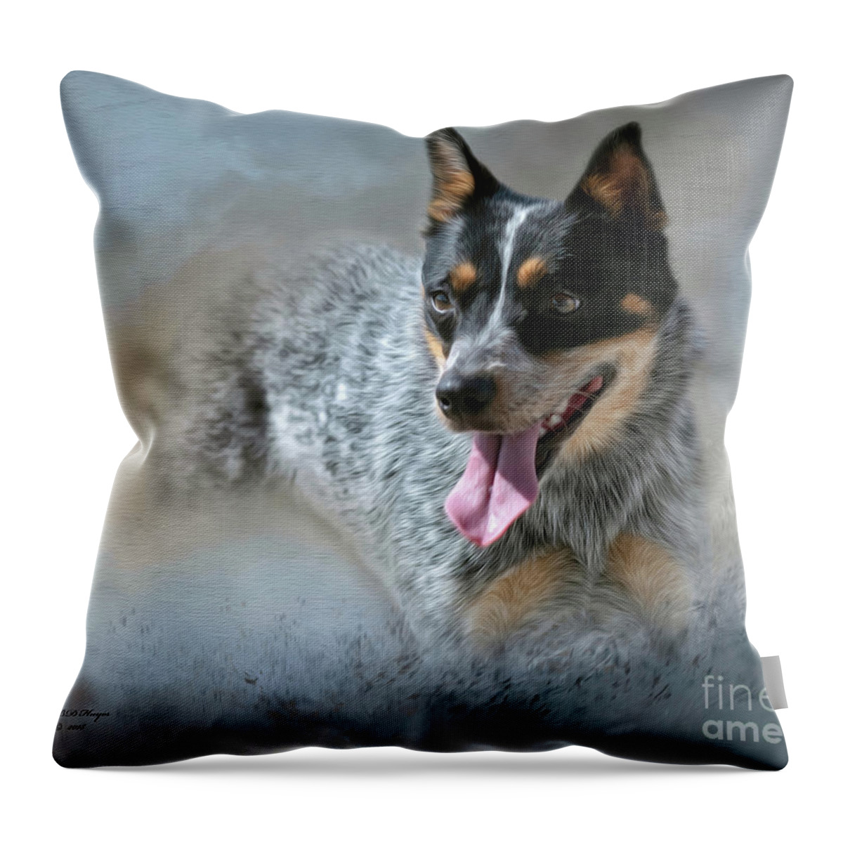 Dogs Throw Pillow featuring the mixed media Cookie - A Blue Heeler by DB Hayes