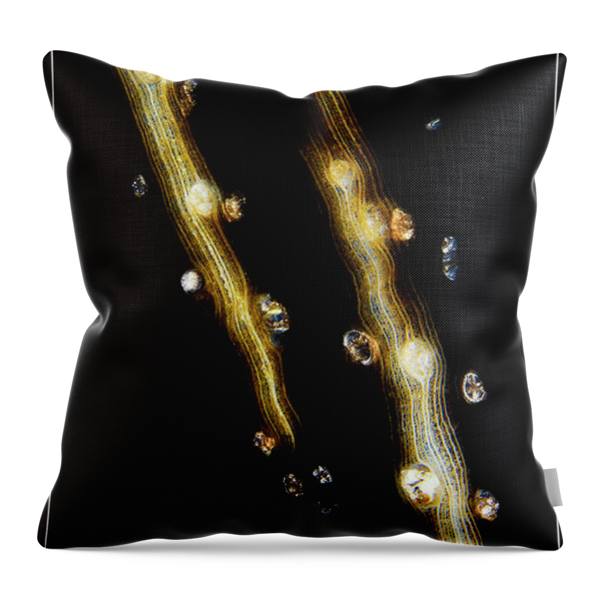 Fine Art Photography Throw Pillow featuring the photograph Cosmic Strands by John Strong