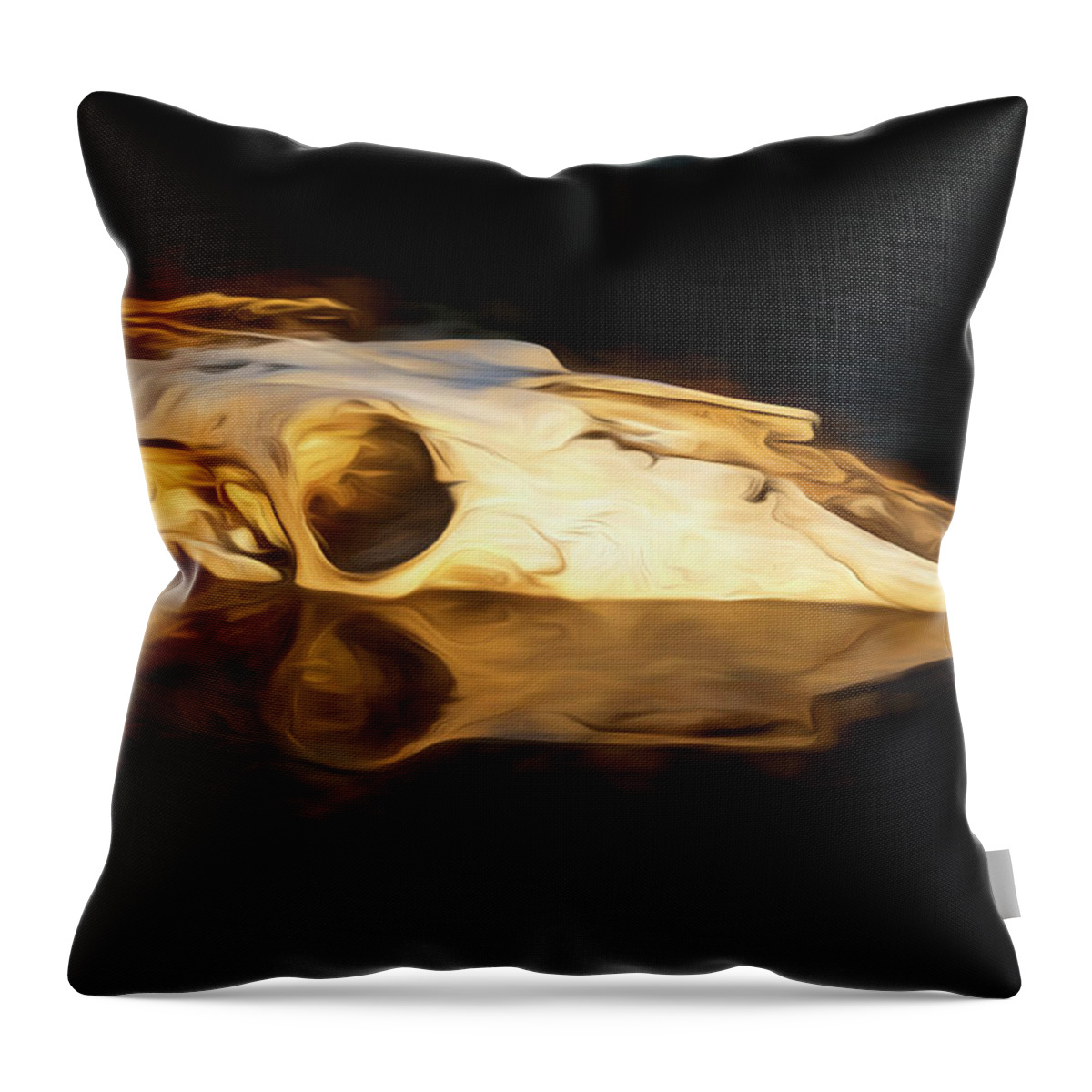 Kansas Throw Pillow featuring the photograph Cow Skull 003 by Rob Graham