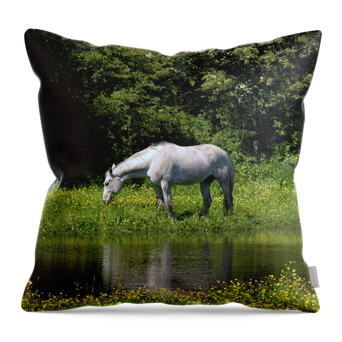Ulverston Throw Pillow featuring the photograph CUMBRIA. Ulverston. Horse By The Canal by Lachlan Main