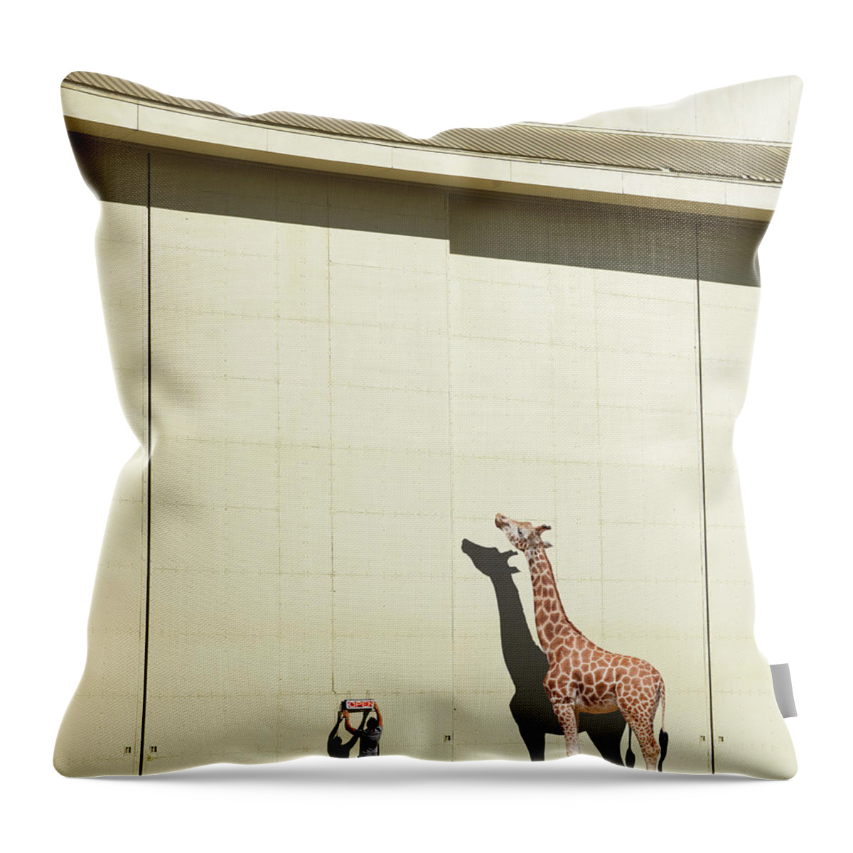 Shadow Throw Pillow featuring the photograph Curious Giraffe by Richard Newstead