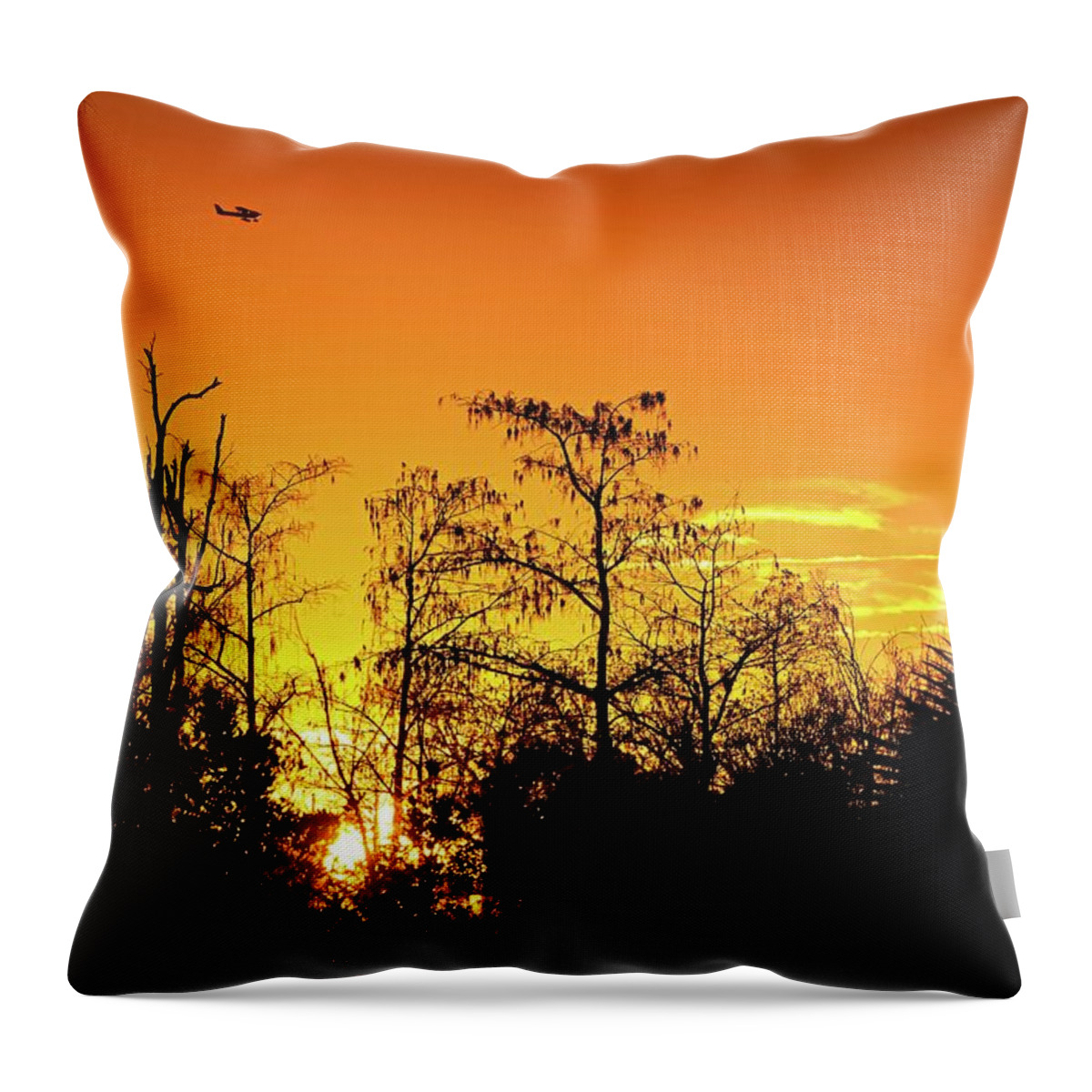 Airplane Throw Pillow featuring the photograph Cypress Swamp Sunset 3 by Steve DaPonte