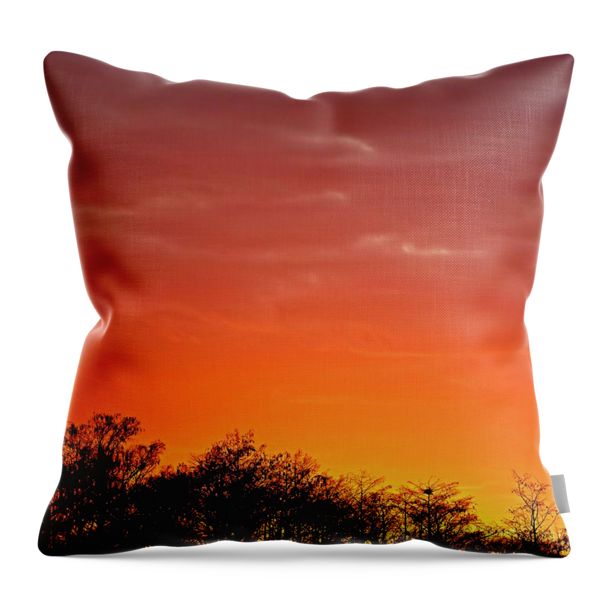 Swamp Throw Pillow featuring the photograph Cypress Swamp Sunset 4 by Steve DaPonte