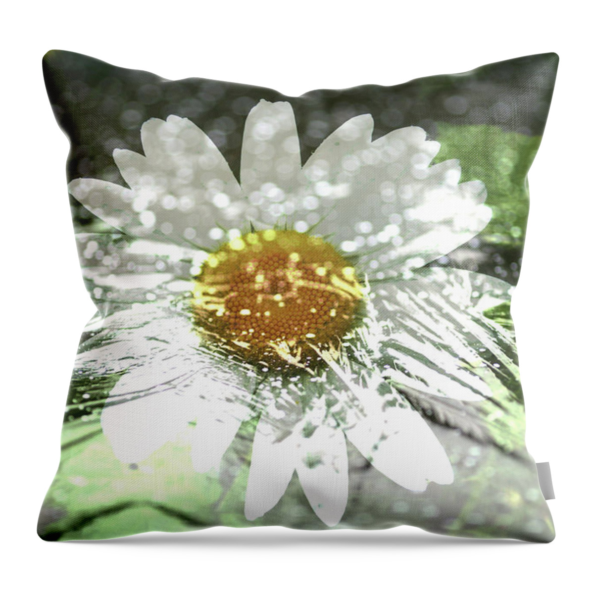 Daisy Throw Pillow featuring the photograph Daisy on Ice by Rich Collins