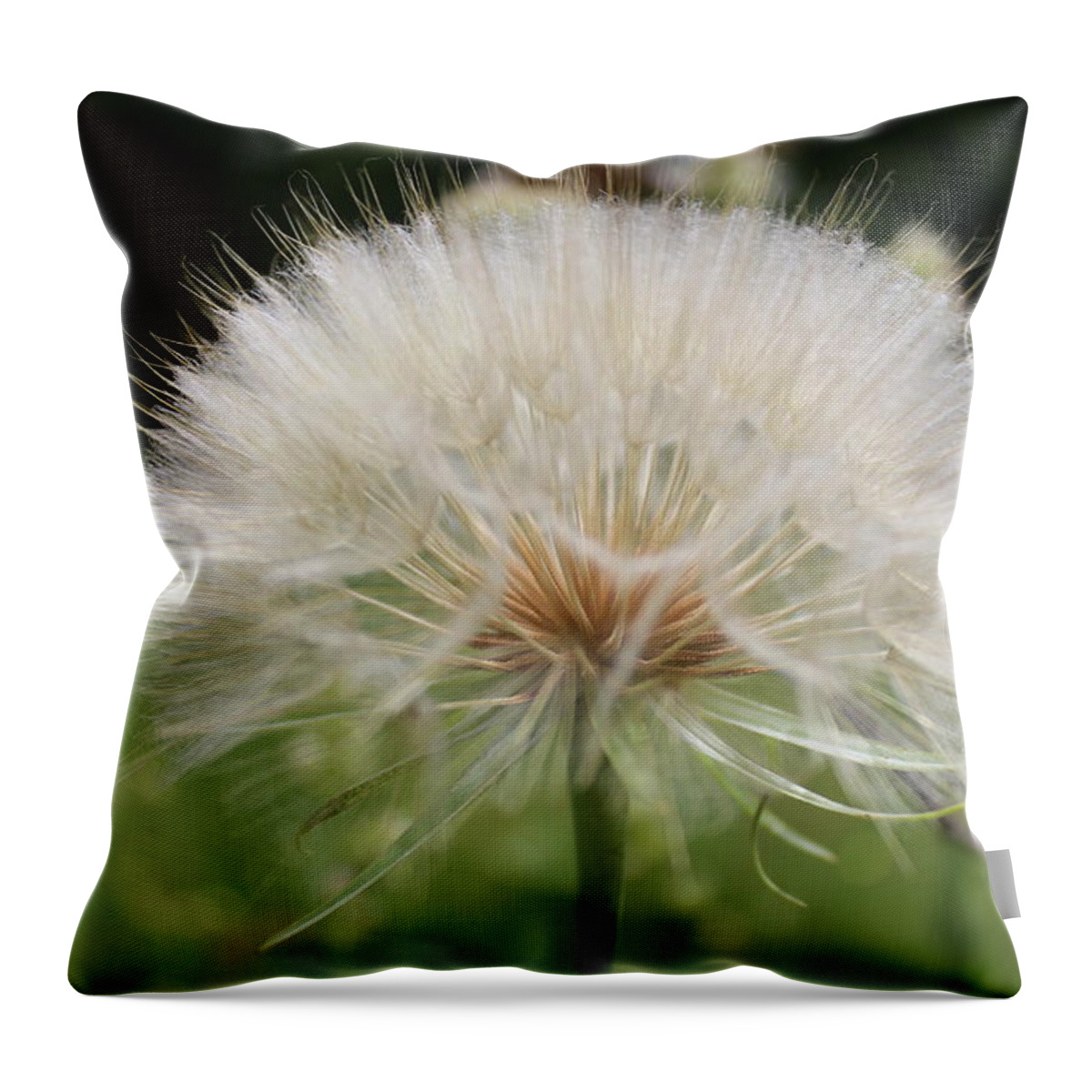 Dandelion Head Throw Pillow featuring the photograph Dandelion head close up by Martin Smith
