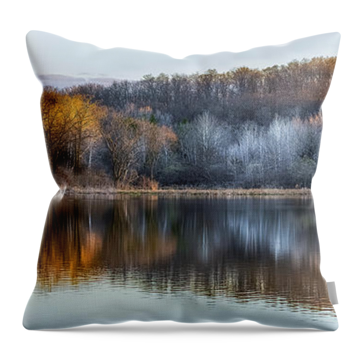 Reflection Throw Pillow featuring the photograph Daybreak by Brad Bellisle