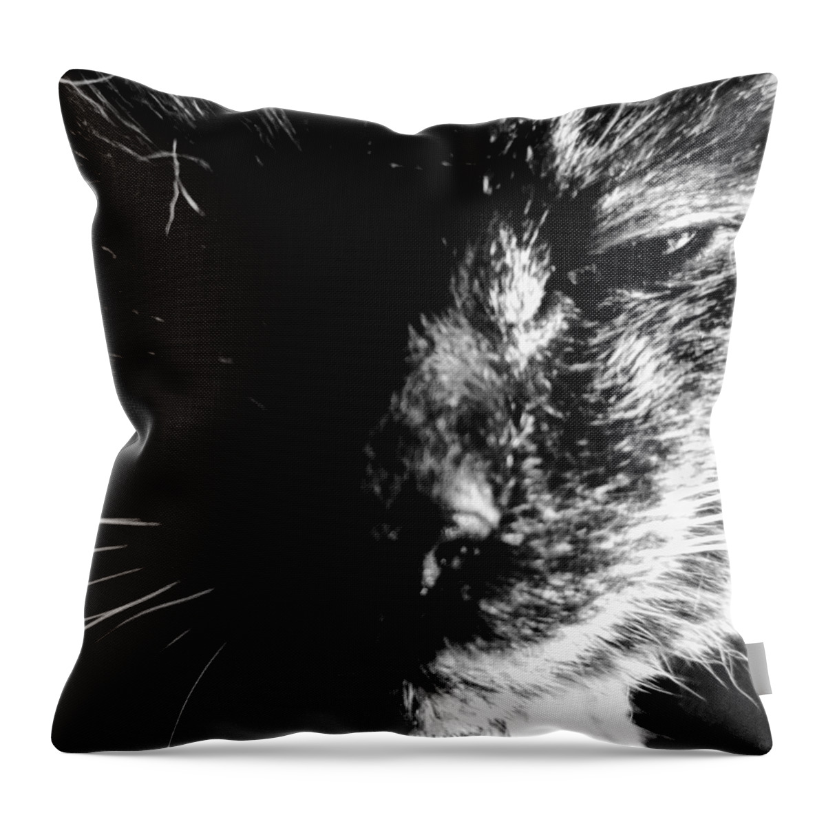 Cat Throw Pillow featuring the photograph Deep Thoughts by Misty Morehead