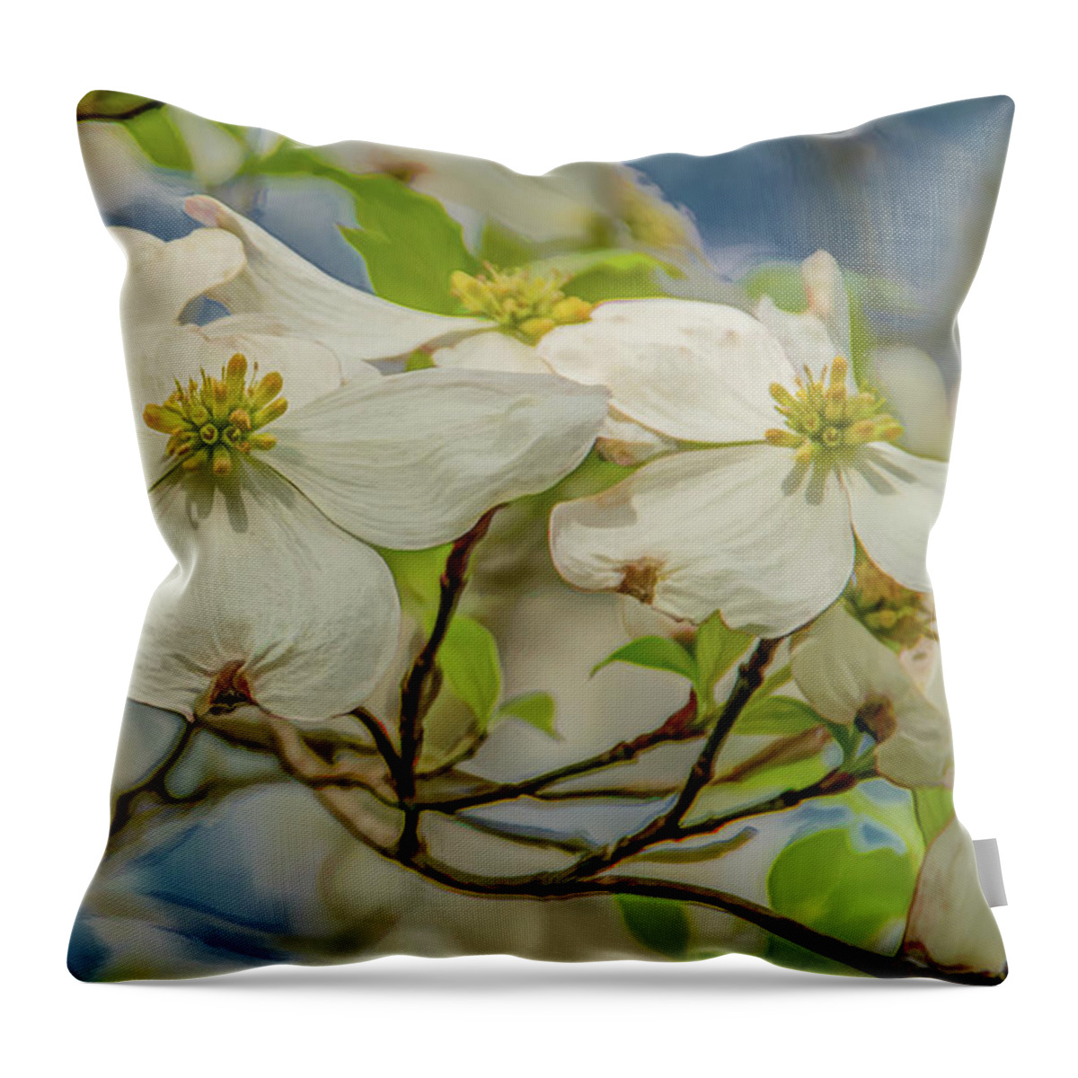 Dogwood Blossoms Throw Pillow featuring the photograph Delicate Dogwoods by Marcy Wielfaert
