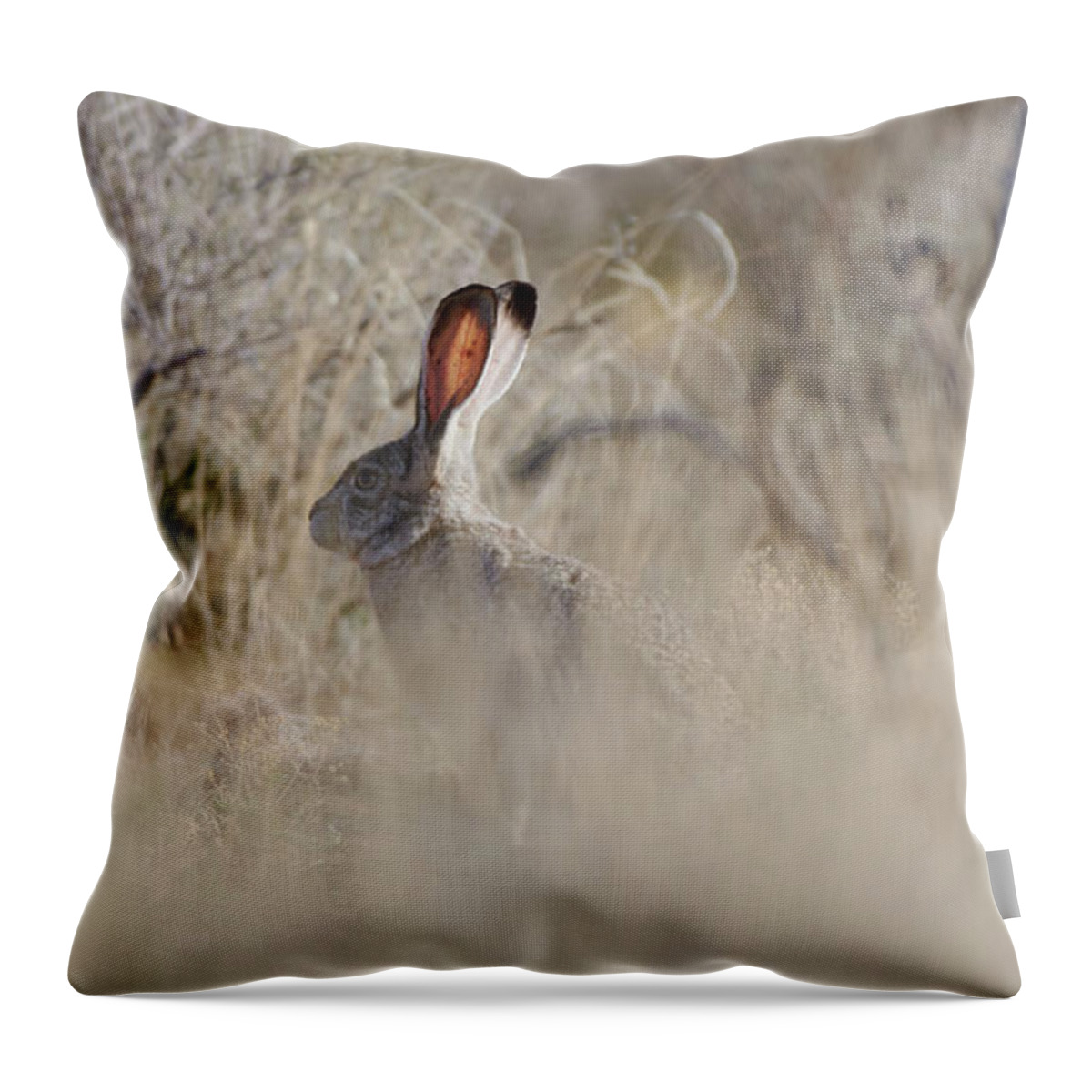 Desert Rabbit Throw Pillow featuring the photograph Desert Bunny by Robert WK Clark
