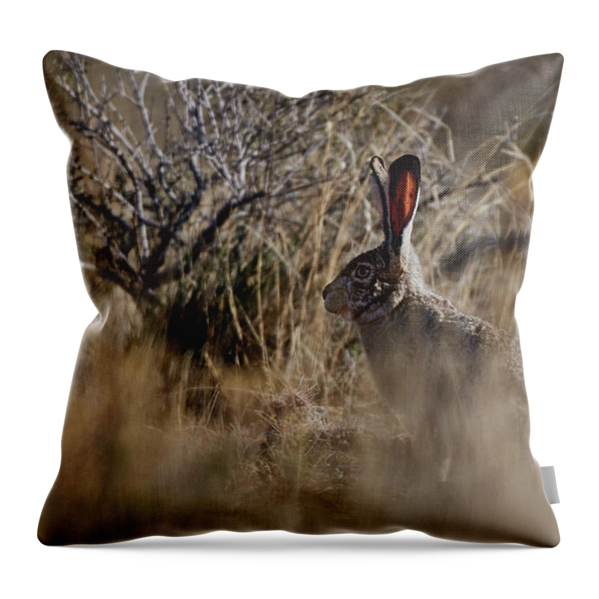 Desert Rabbit Throw Pillow featuring the photograph Desert Rabbit by Robert WK Clark