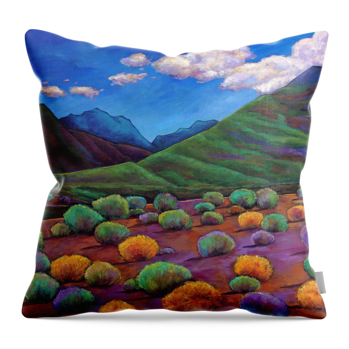 Arizona Throw Pillow featuring the painting Desert Valley by Johnathan Harris