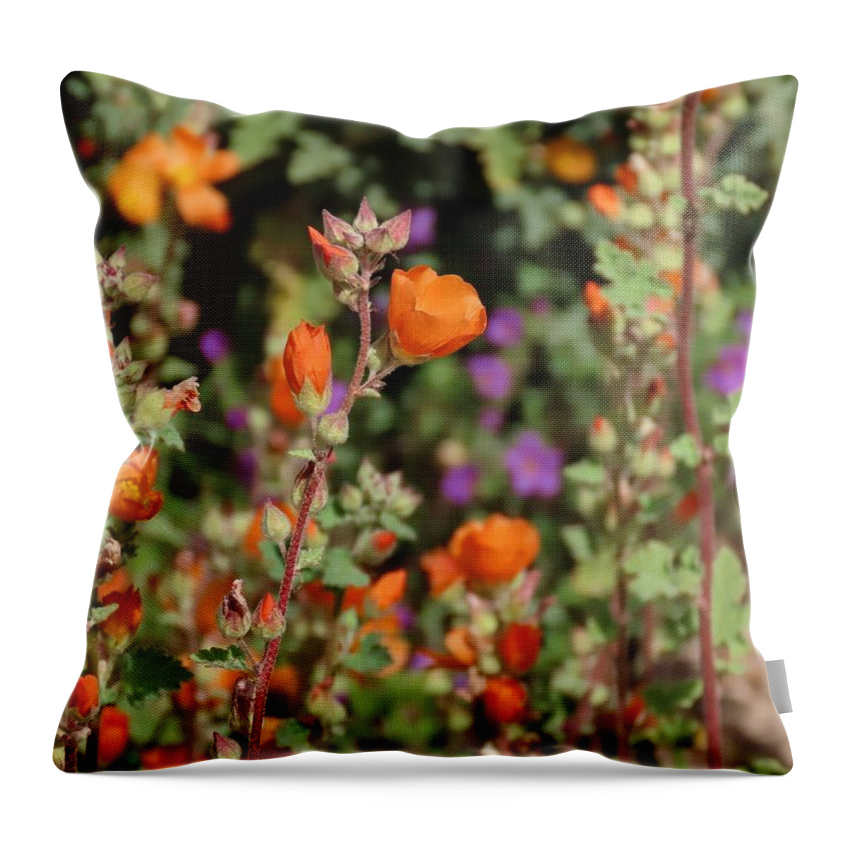 Arizona Throw Pillow featuring the photograph Desert Wildflowers by Judy Kennedy