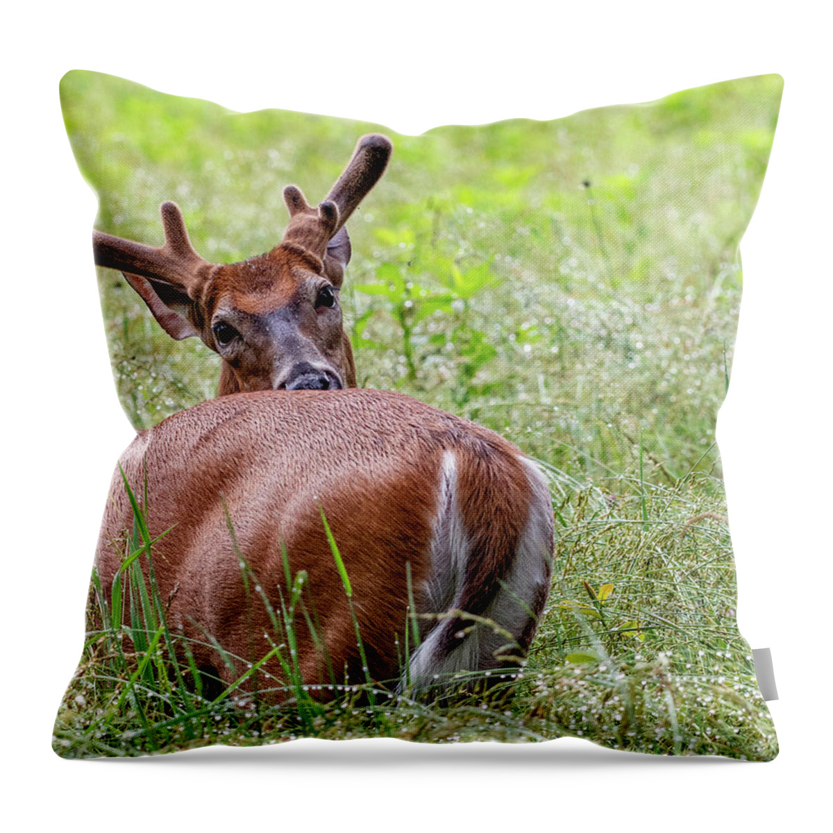 Does This Make My Butt Look Big? Throw Pillow by Marcy Wielfaert