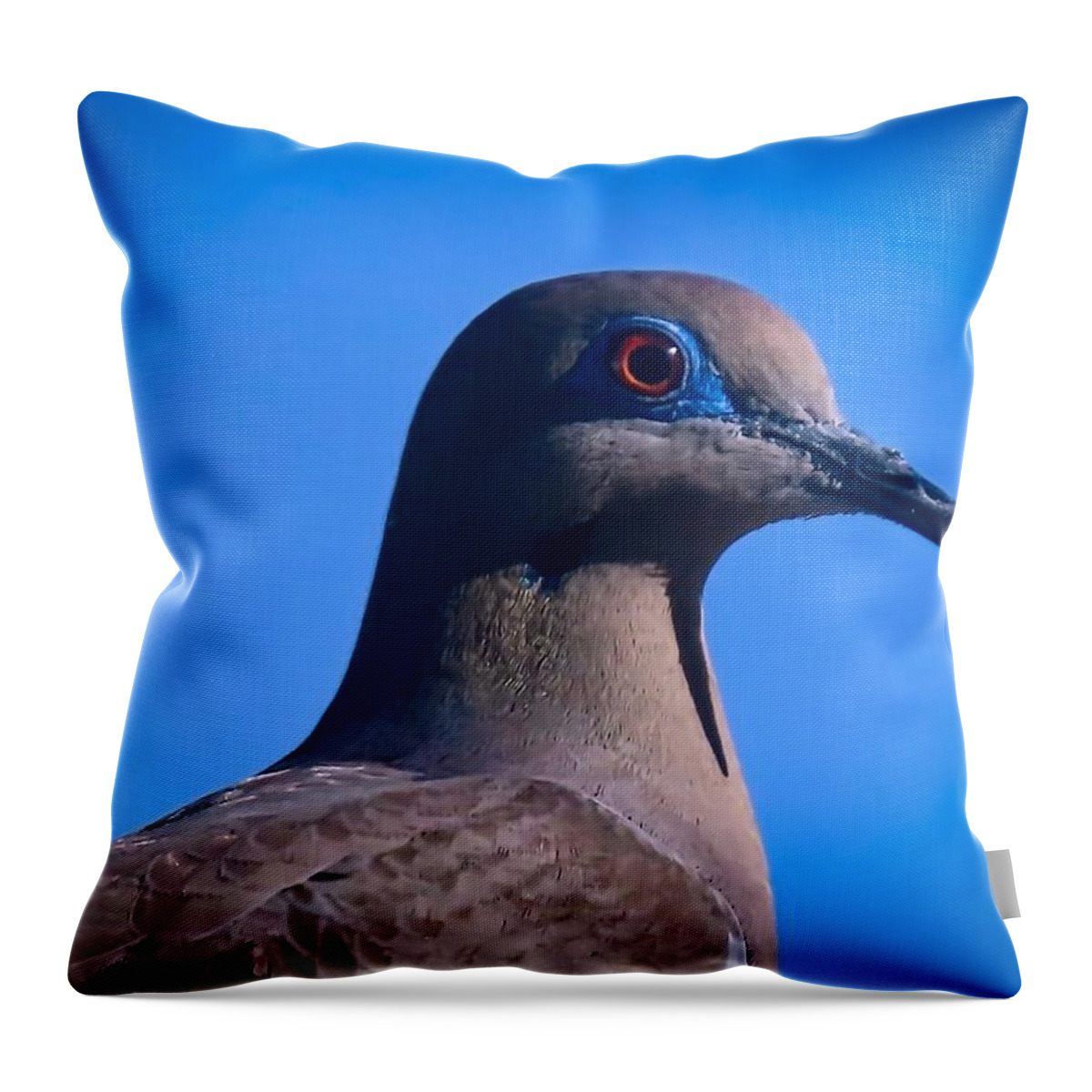 Arizona Throw Pillow featuring the photograph Don't It Make My Brown Eyes Blue by Judy Kennedy