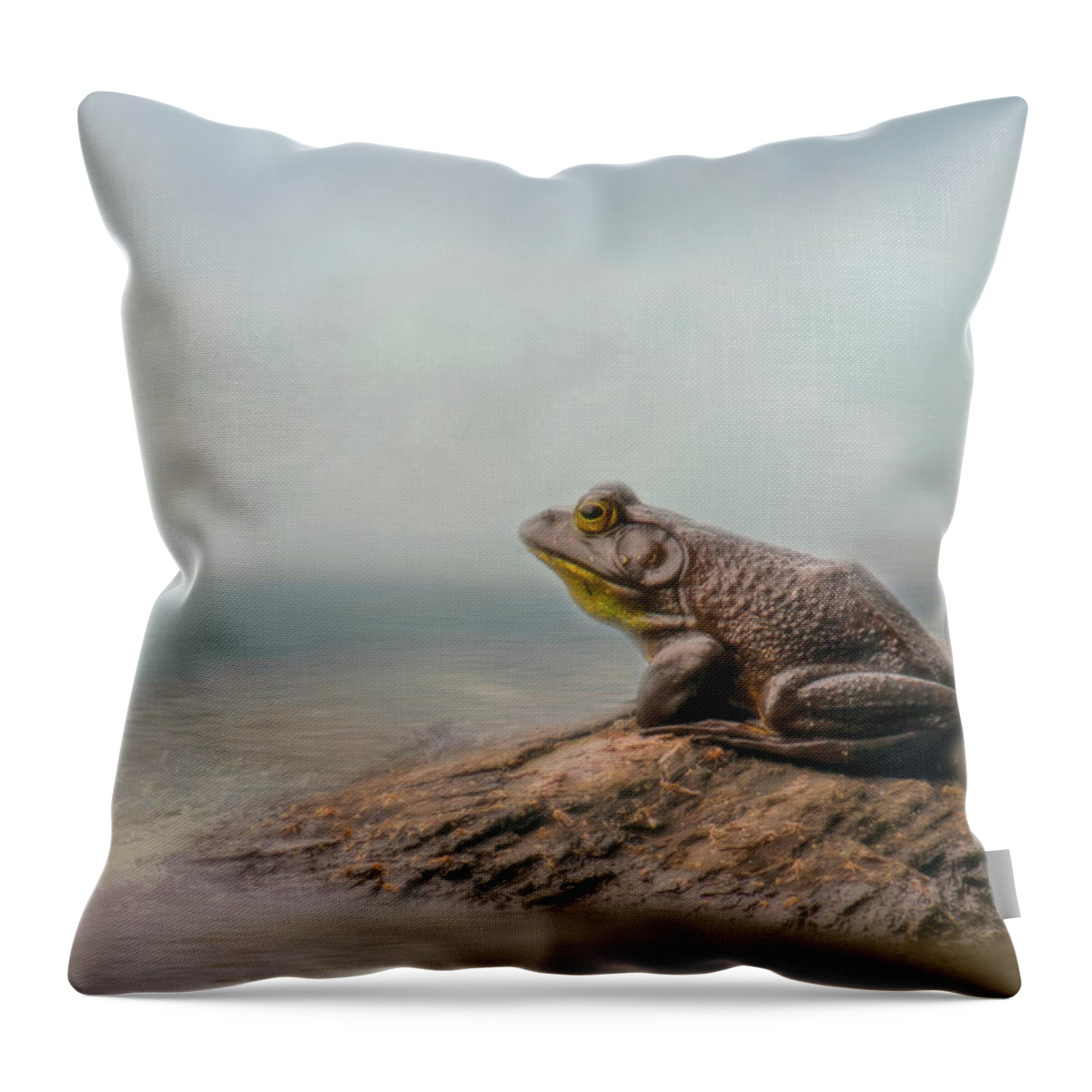 Frog Throw Pillow featuring the photograph Dreaming by Cathy Kovarik